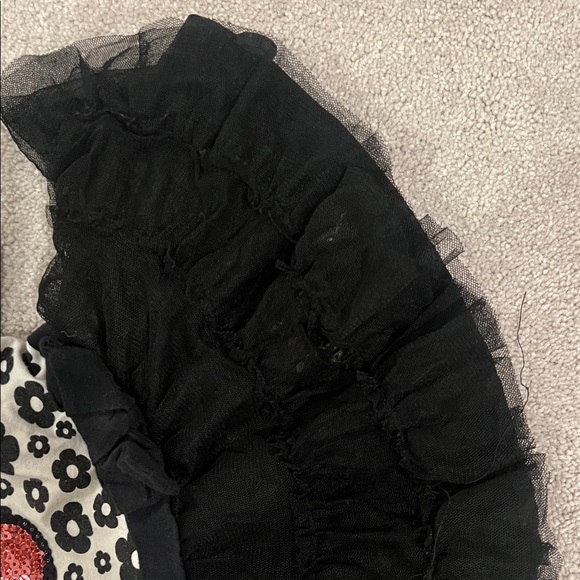 Good🎉 Condition FLAPADOODLES Floral Long Sleeve Dress with Black Tulle Skirt, 2T - Picture 10 of 13